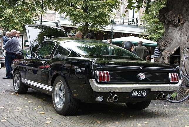 Mustang