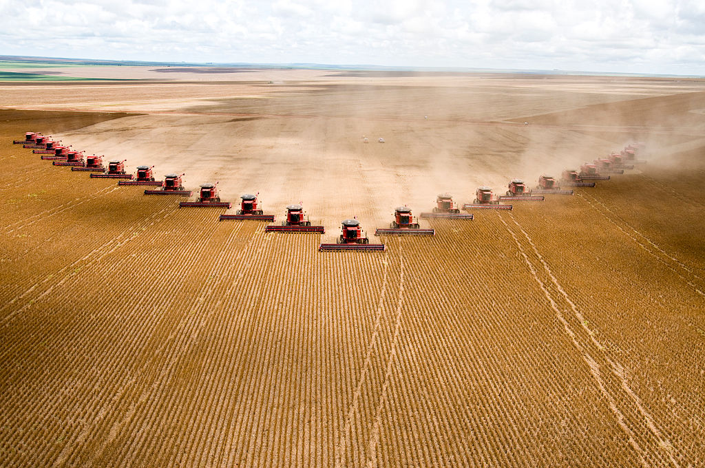 Plantação de soja em Mato Grosso (Paulo Fridman/Corbis via Getty Images)