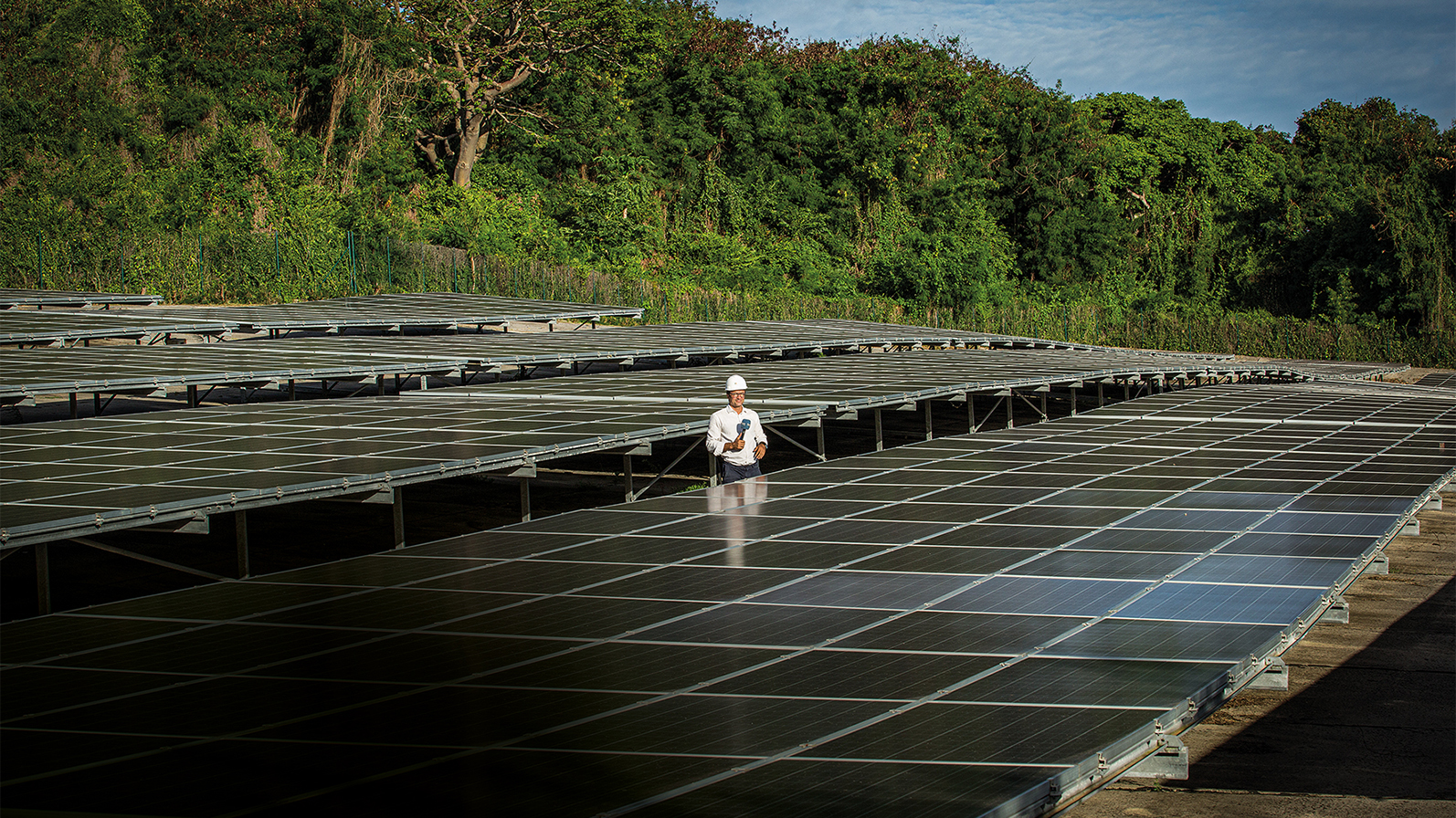 Usina solar em Pernambuco da Neoenergia
