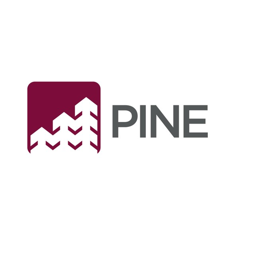 Reprodução / Banco Pine