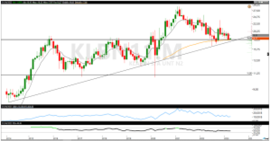 Análise de ações; análise técnica; SUZB3; KLBN11; swing trade