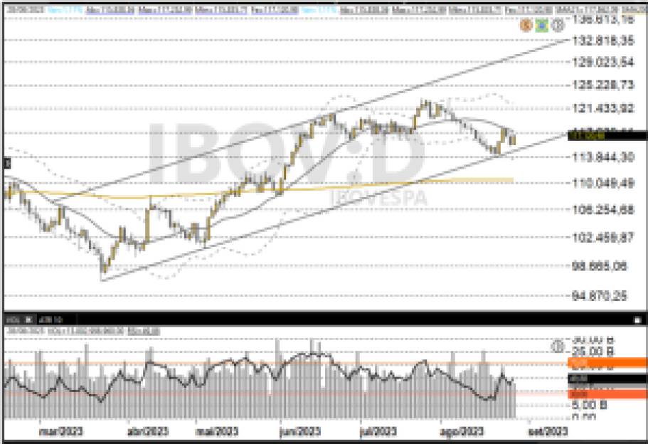 Ibovespa 29/08