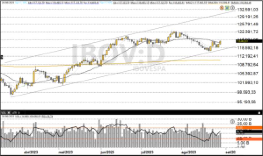 Ibovespa 30/08