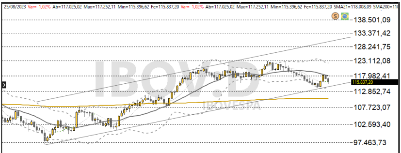 Ibovespa 28/08