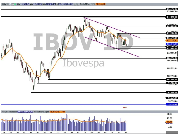 Ibovespa 01/11