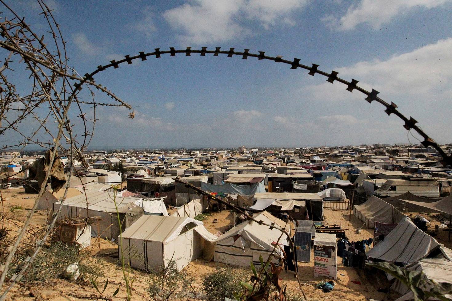 Palestinos se abrigam em barracas em Rafah
 19/6/2024    REUTERS/Hatem Khaled
