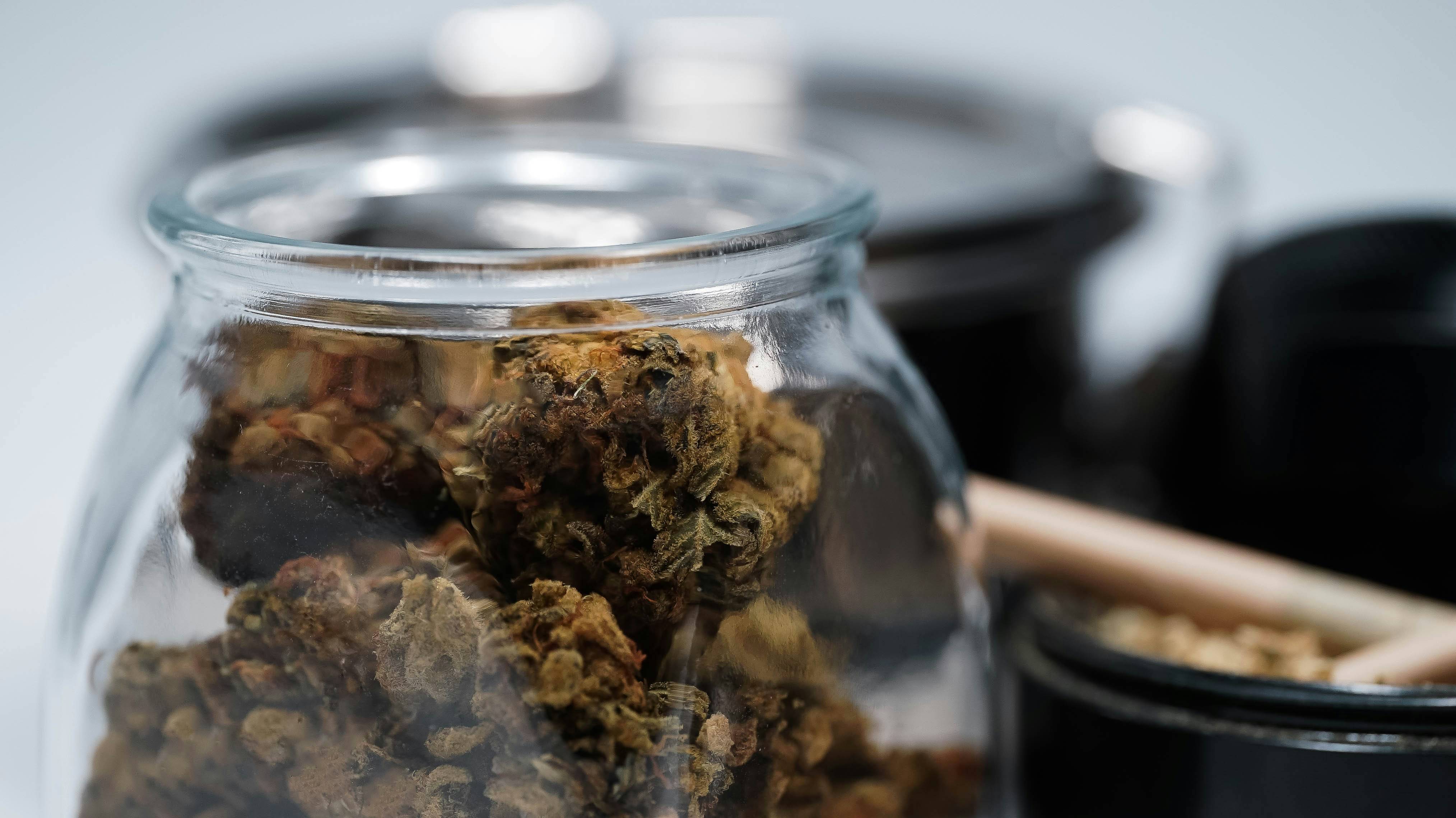 STF decidiu descriminalizar porte de maconha para uso pessoal (Foto: 2H Media/Unsplash)
