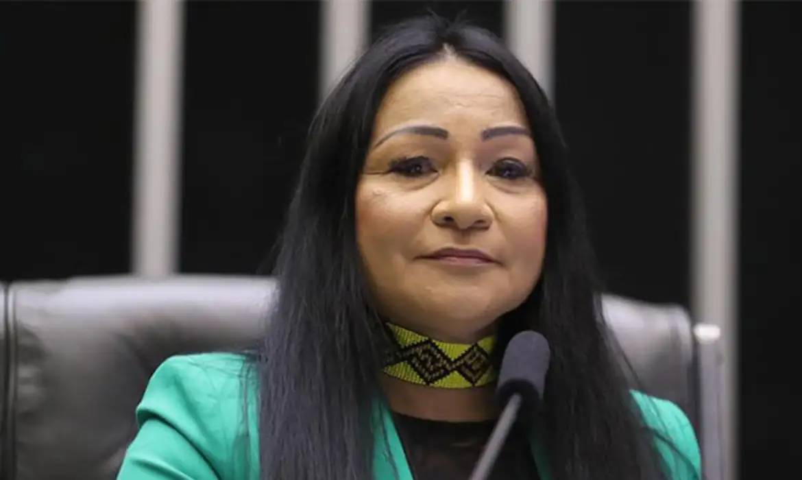 Deputada Silvia Waiapi (Câmara dos Deputados)