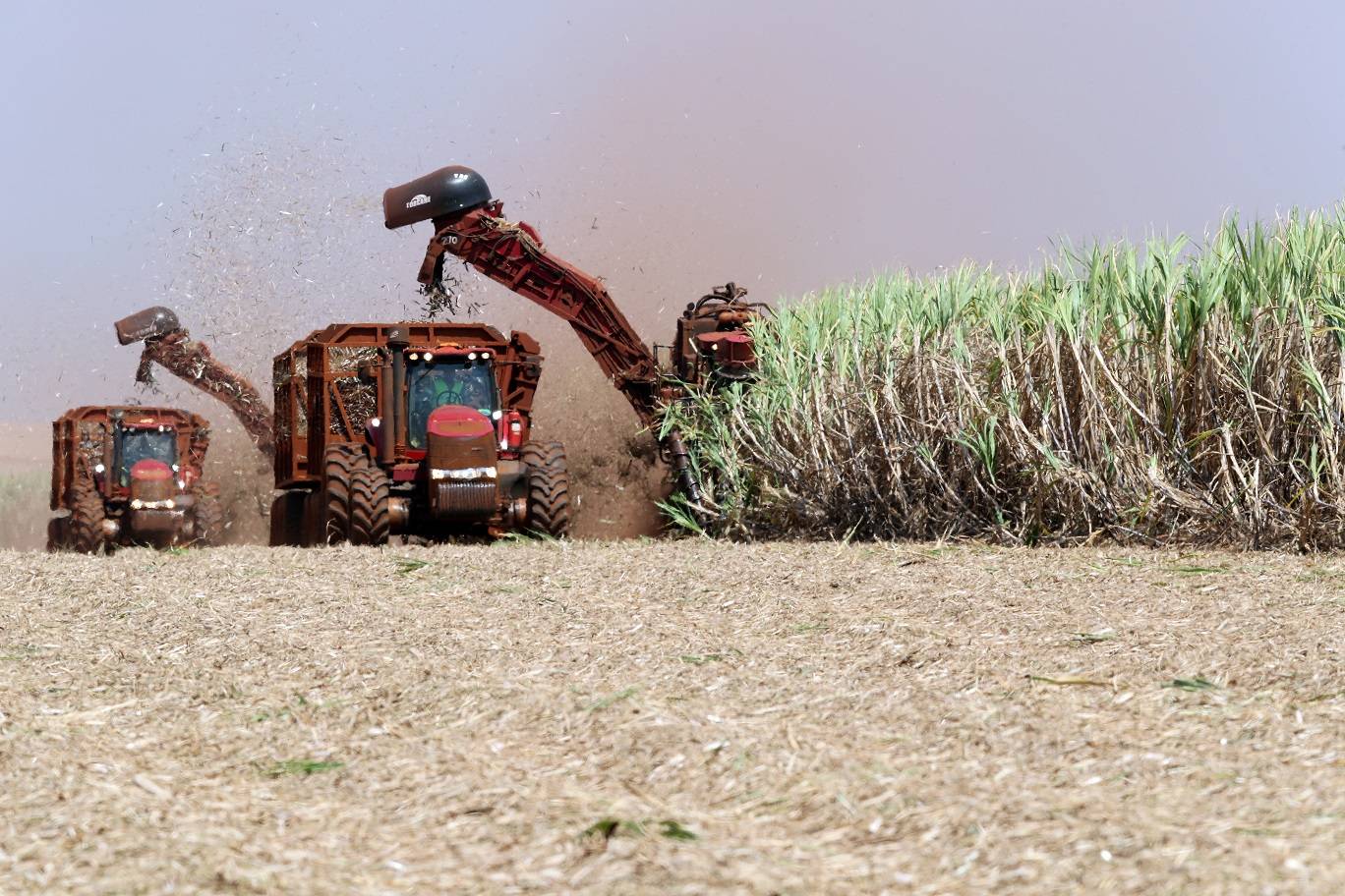 Colheitadeiras em plantação de cana-de-açúcar (Foto: Paulo Whitaker/Reuters)