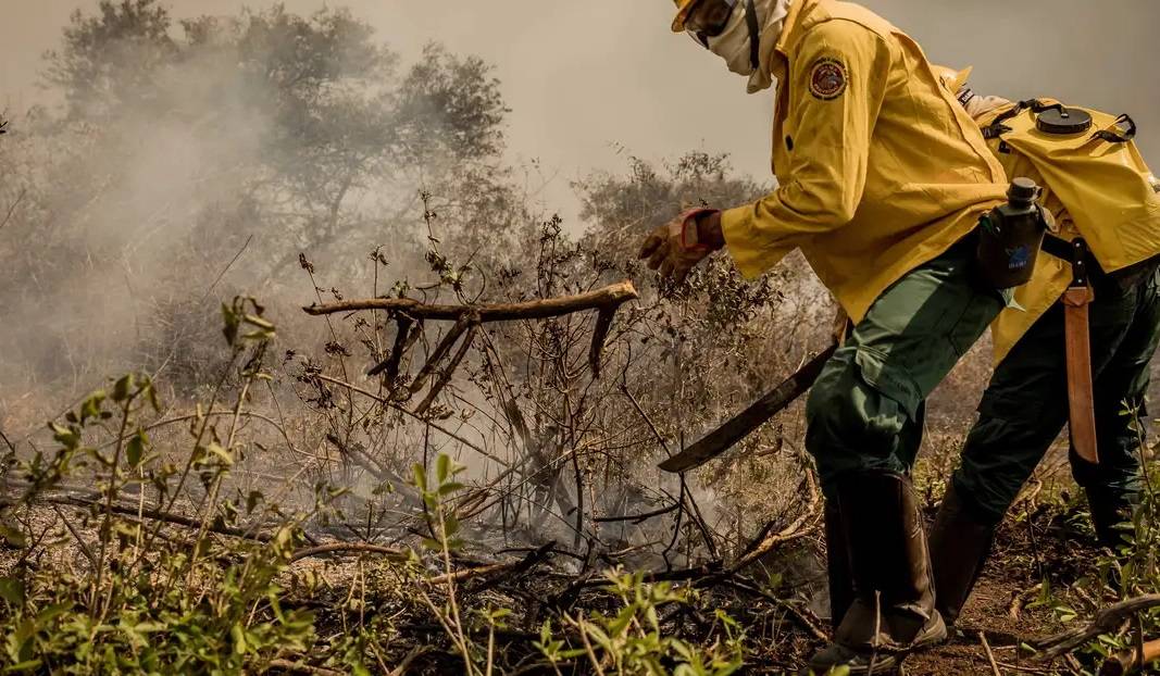 Incêndios atingem o Pantanl (Foto: Christiano Antonucci/Secom-MT)