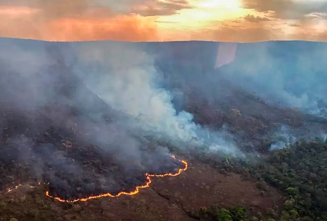 Diversas regiões do Brasil vêm sendo atingidas por queimadas (Foto: CBMGO/Divulgação)