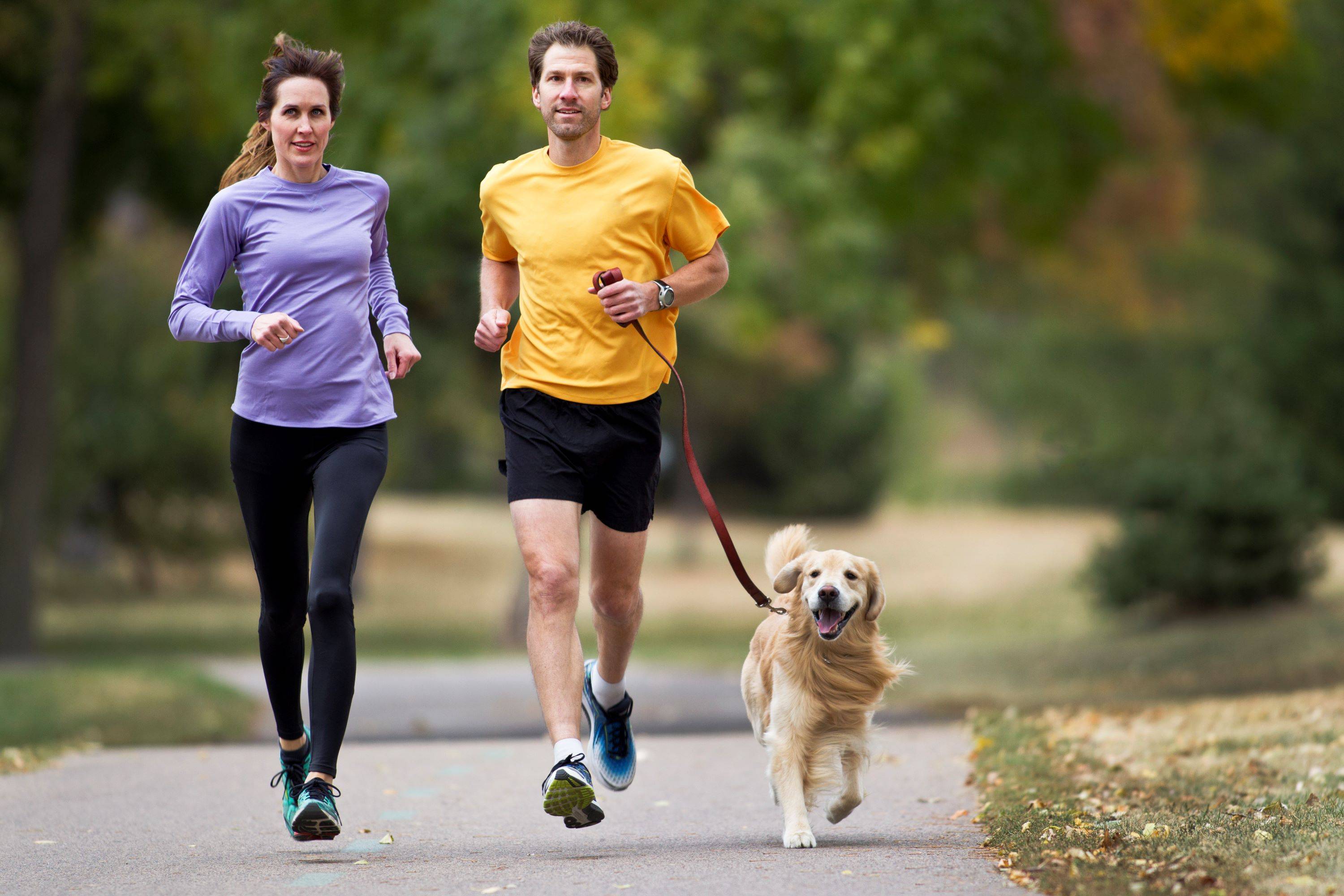Mulher e homem com cachorro Foto: JMichl/Getty Images