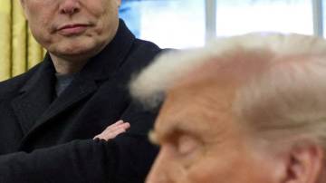 Bilionário Elon Musk e presidente dos EUA, Donald Trump
