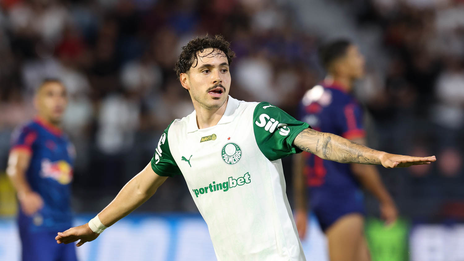 Cesar Greco/Palmeiras