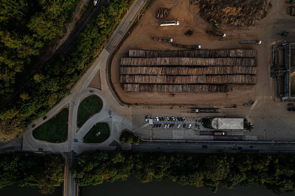 Toras de eucalipto fora de uma fábrica de celulose da Suzano em Jacareí. Fotógrafa: Maira Erlich/Bloomberg

