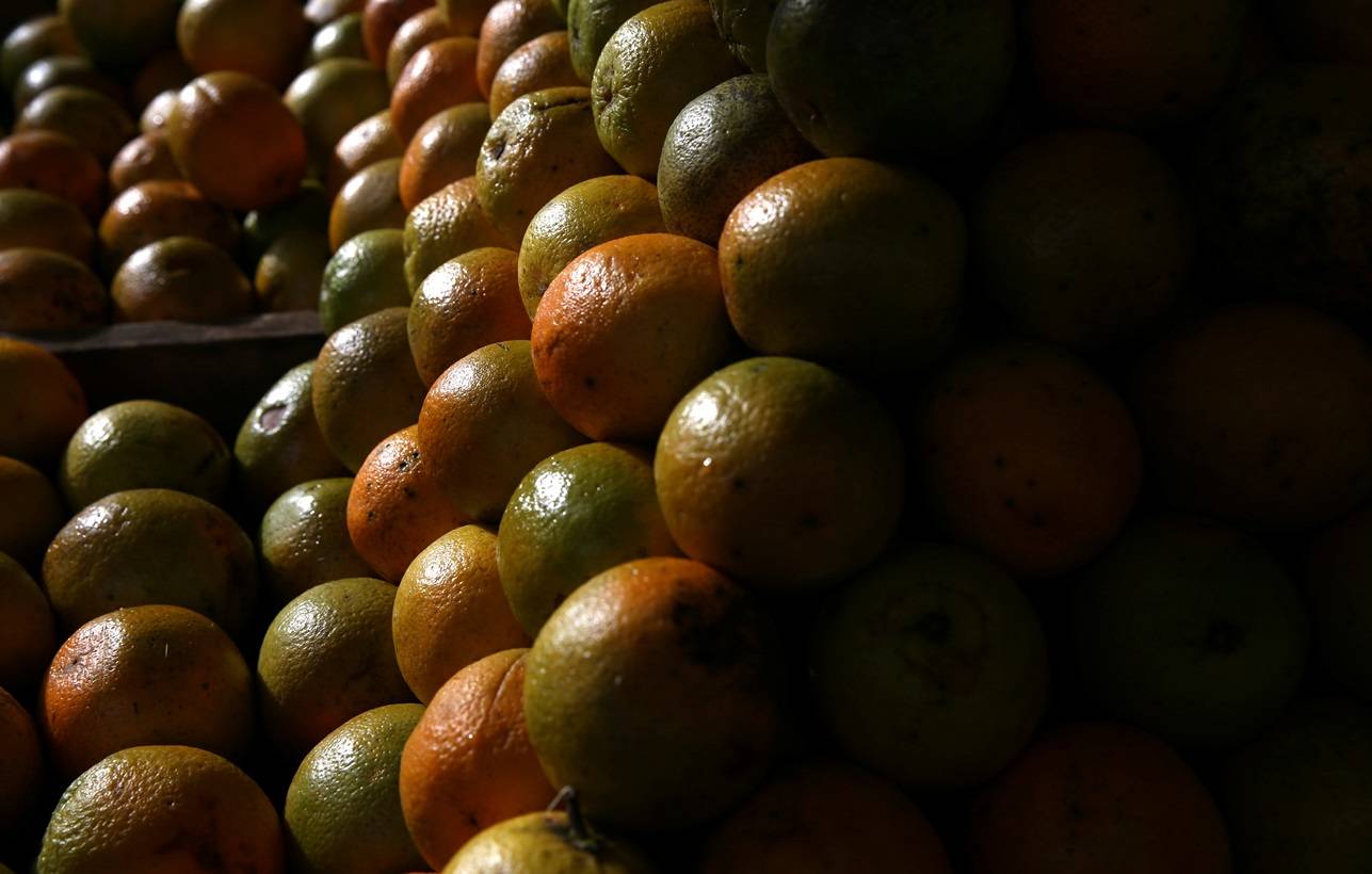Laranja em feira no Rio de Janeiro (Reuters)