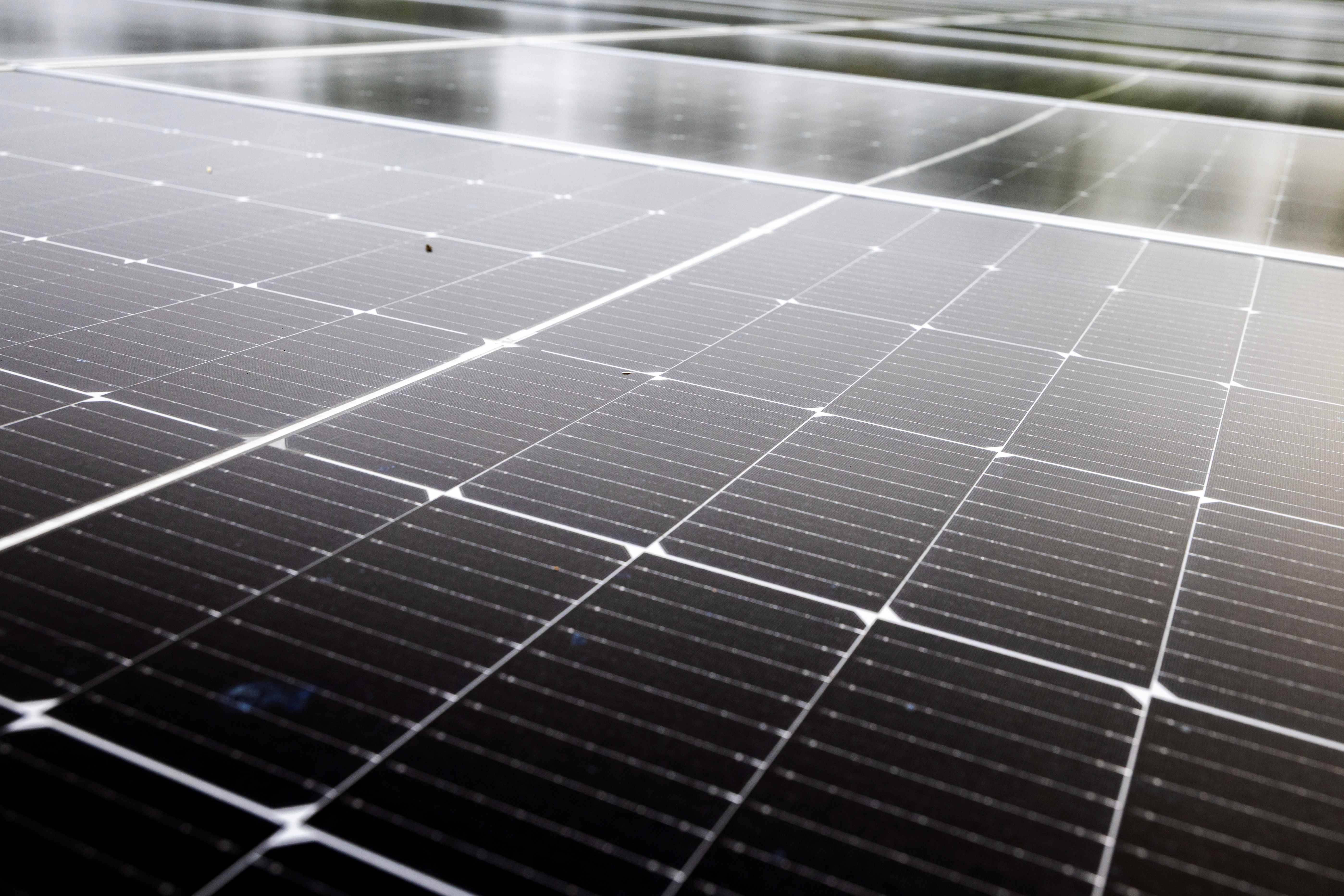 Painel de energia solar (Foto: Kyle Grantham/The New York Times)