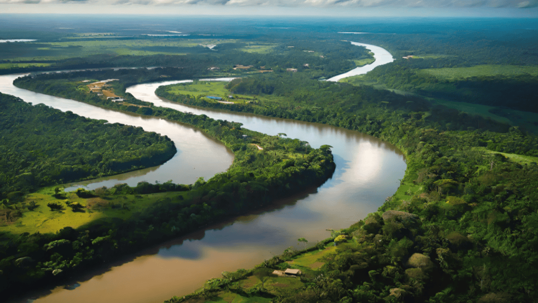 Vista aérea Floresta Amazônica; Banco da Amazônia, divulgação 
