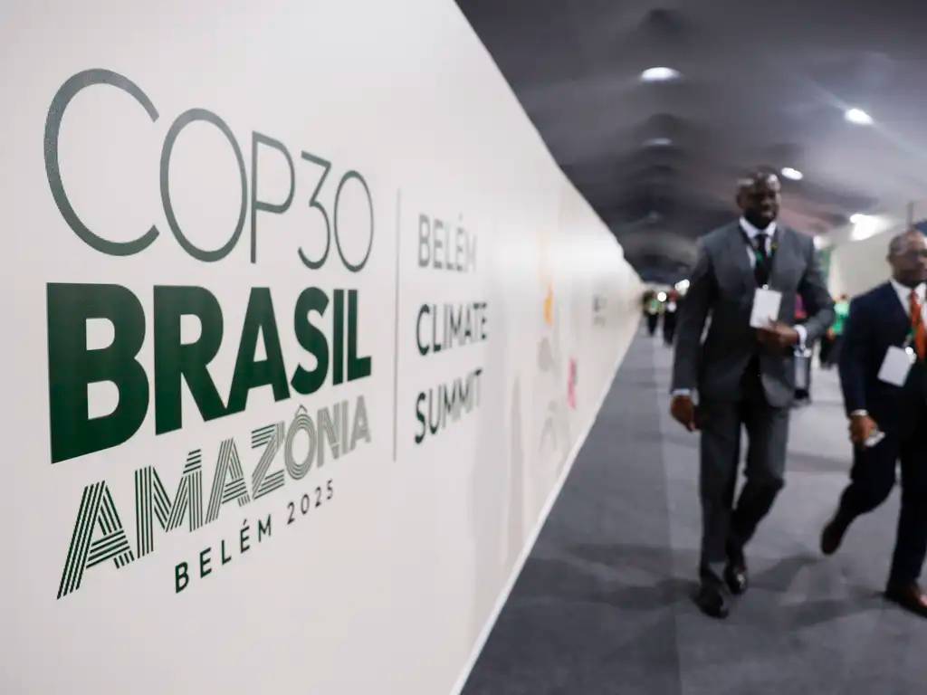 COP 30