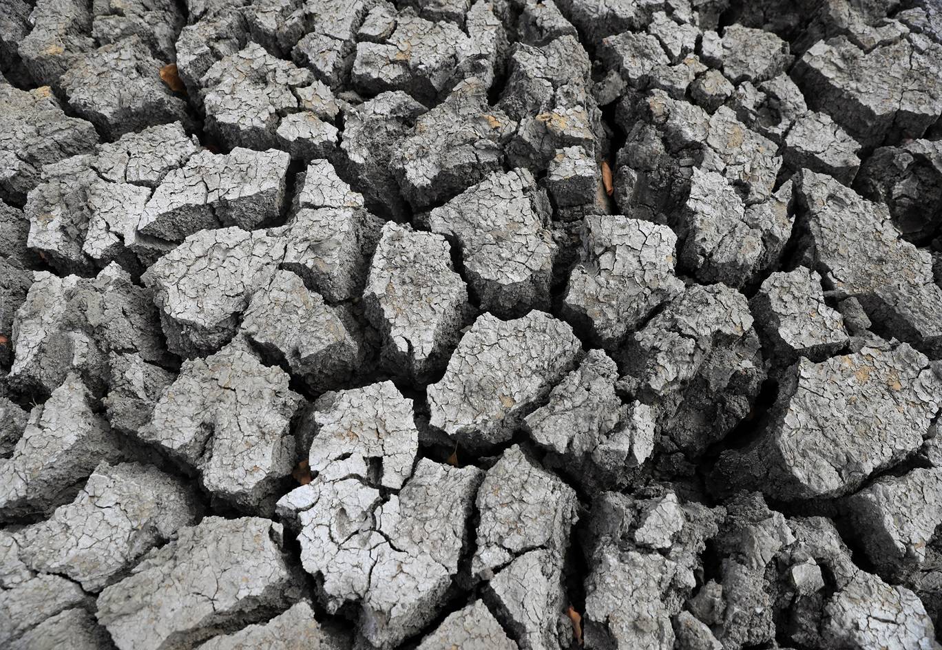 Solo rachado em uma represa, enquanto o Zimbábue enfrenta uma seca provocada pelo El Niño, resultando em desnutrição entre crianças menores de cinco anos, gestantes, mulheres que amamentam e adolescentes, em Mudzi, Zimbábue, 2 de julho de 2024. REUTERS/Philimon Bulawayo/File Photo