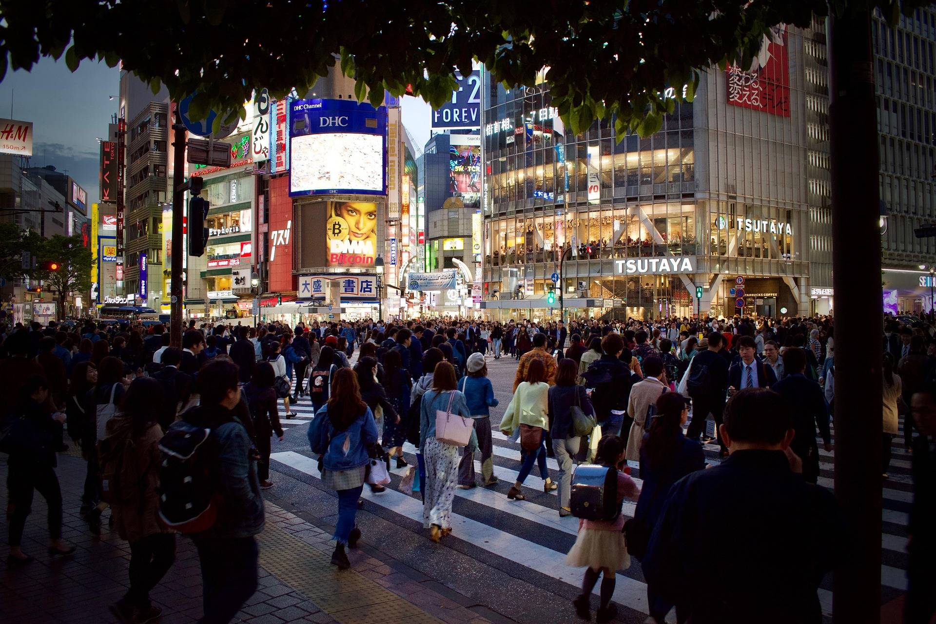 Japão. Foto: Pixabay